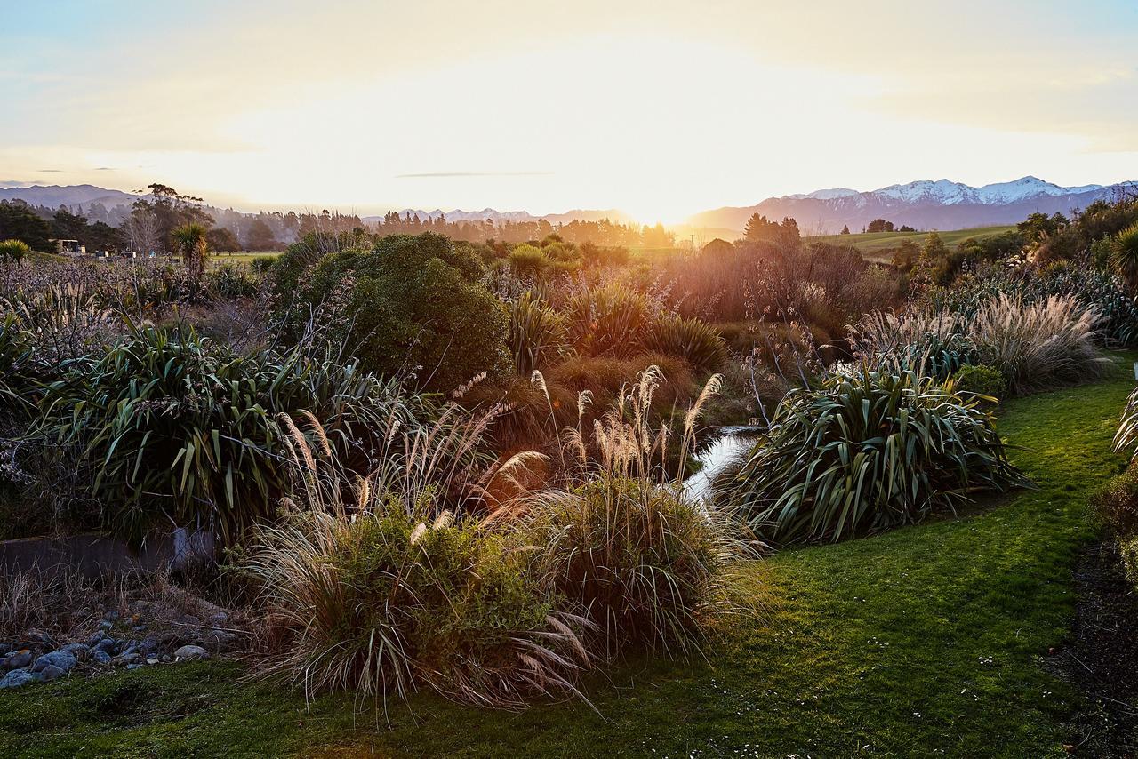 Bed and Breakfast Kakatu Retreat Kaikoura Esterno foto